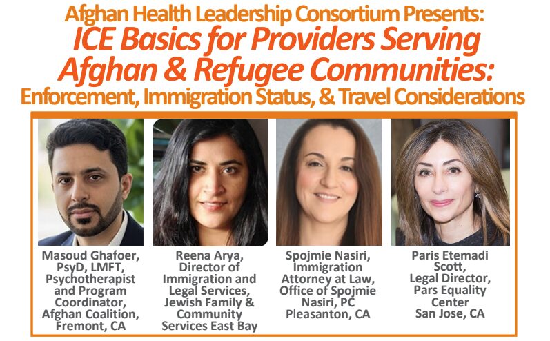 ICE Basics for Service Providers