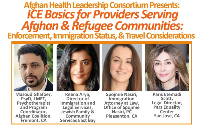 ICE Basics for Service Providers